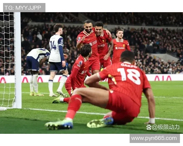 赫尔城主场迎战布赖顿双方争夺英超宝贵积分之战