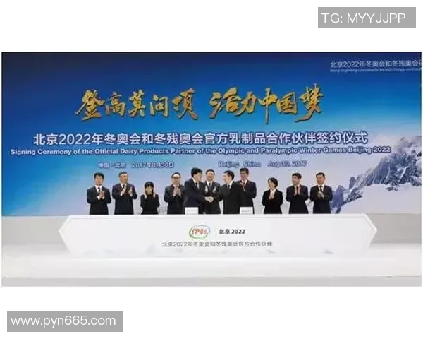 飞盘运动的崛起与周娜的成功秘诀深度探讨