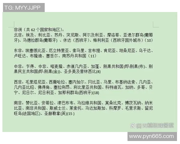 几内亚比绍与加纳的精彩对决结果揭晓分析及赛后点评